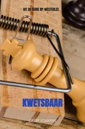 Omslag van Kwetsbaar