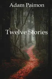 Omslag van Twelve Stories