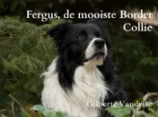 Omslag van Fergus, de mooiste Border Collie