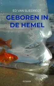 Omslag van Geboren in de hemel