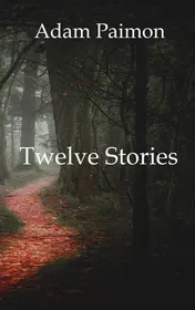 Omslag van Twelve Stories