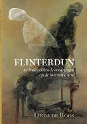 Omslag van Flinterdun