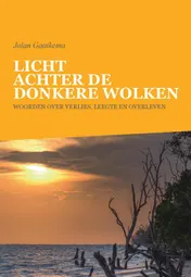 Omslag van Licht achter de donkere wolken