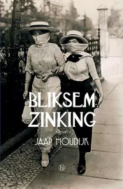Omslag van Bliksemzinking