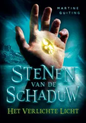 Omslag van Stenen van de Schaduw