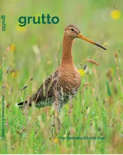 Omslag van Grutto