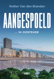 Omslag van Aangespoeld