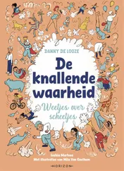 Omslag van De knallende waarheid