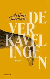 Omslag van De verkavelingen