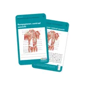 Omslag van Flashcards Traumachirurgie & Orthopedie