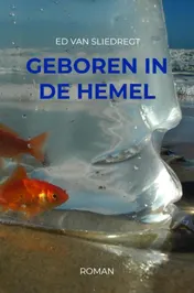 Omslag van Geboren in de hemel