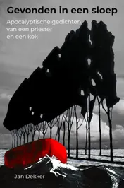 Omslag van Gevonden in een sloep