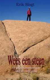 Omslag van Wees een steen