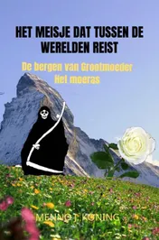 Omslag van Het meisje dat tussen de werelden reist