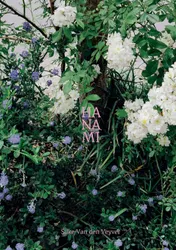 Omslag van Hanami