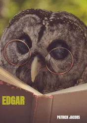 Omslag van Edgar