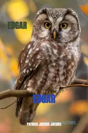Omslag van EDGAR
