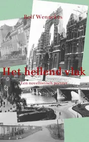 Omslag van Het hellend vlak