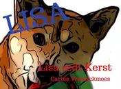Omslag van Lisa