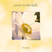Omslag van Leven in het Licht