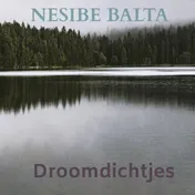 Omslag van Droomdichtjes