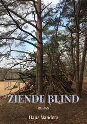 Omslag van Ziende blind