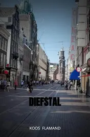Omslag van Diefstal