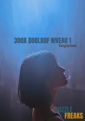Omslag van 300X DOOLHOF NIVEAU 1