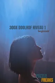 Omslag van 300X DOOLHOF NIVEAU 1