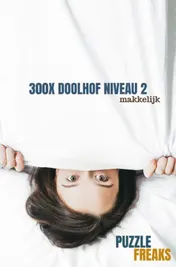 Omslag van 300X DOOLHOF NIVEAU 2