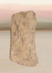 Omslag van Gedachtenboek