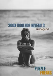 Omslag van 300X DOOLHOF NIVEAU 3