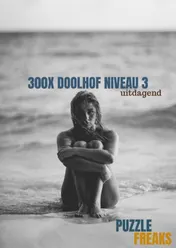 Omslag van 300X DOOLHOF NIVEAU 3