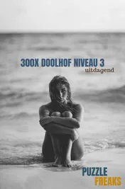 Omslag van 300X DOOLHOF NIVEAU 3