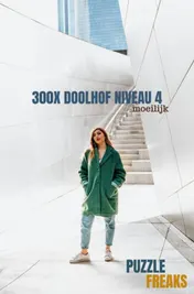 Omslag van 300X DOOLHOF NIVEAU 4