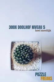 Omslag van 300X DOOLHOF NIVEAU 5