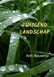 Omslag van Zwijgend landschap