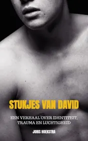 Omslag van Stukjes van David