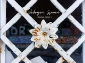 Omslag van Verborgen Sporen
