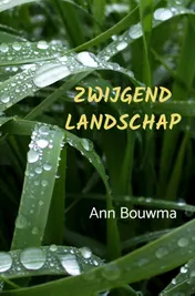 Omslag van Zwijgend Landschap