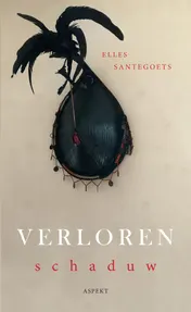 Omslag van Verloren schaduw
