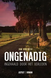 Omslag van Ongenadig