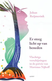 Omslag van Er steeg licht op van beneden
