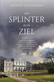 Omslag van Een splinter in de ziel