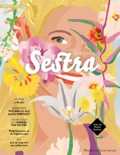 Omslag van Sestra - Spiegelbeeld