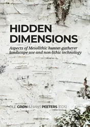 Omslag van Hidden dimensions