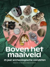 Omslag van Boven het maaiveld