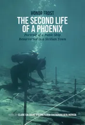 Omslag van The Second Life of a Phoenix