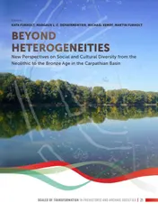 Omslag van Beyond heterogeneities