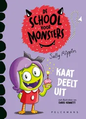 Omslag van Kaat deelt uit
